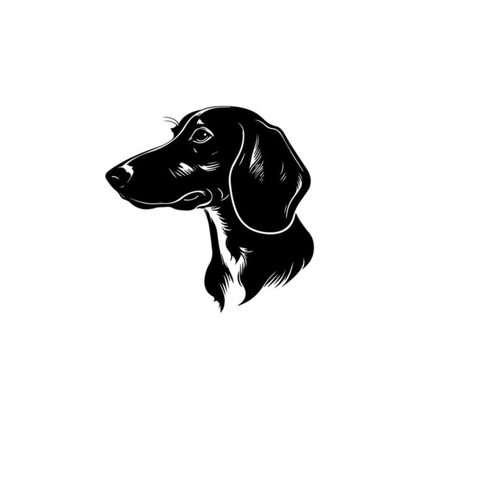 2610202382049-dachshund-dog-svg-dachshund-clipart-dachshund-svg-files-for-image-1.jpg