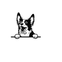 peeking bobtail svg, peeking bobtail clipart, peeking bobtail dog svg files for cricut