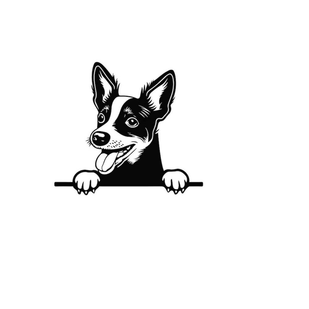 261020238220-peeking-rat-terrier-svg-peeking-rat-terrier-clipart-peeking-image-1.jpg