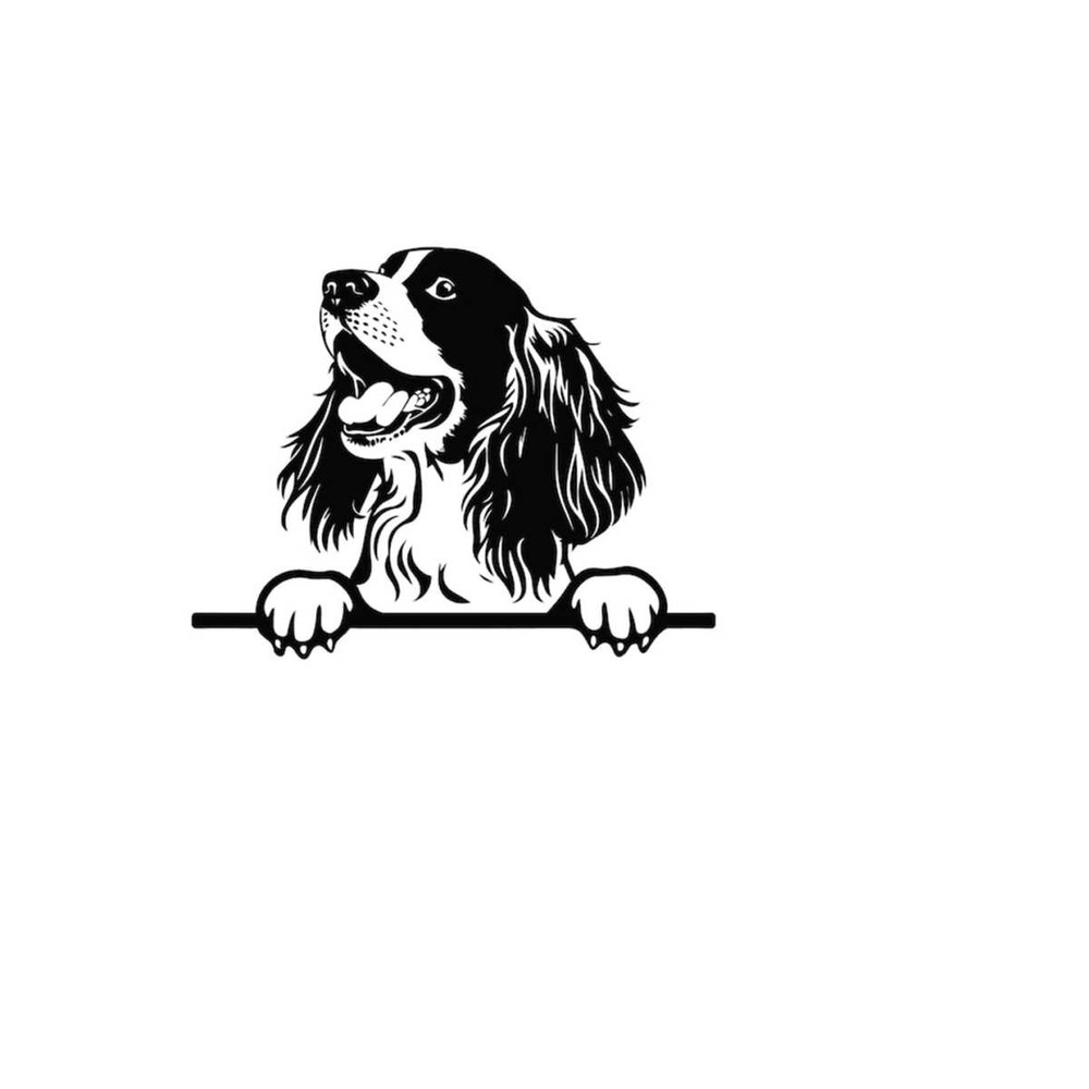 2610202382519-peeking-english-springer-spaniel-svg-peeking-english-springer-image-1.jpg