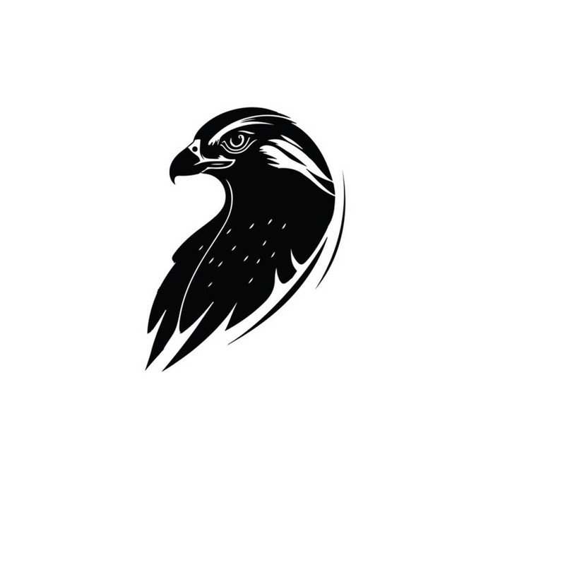 2610202382627-eagle-svg-hawk-clipart-hawk-svg-files-for-cricut-camping-image-1.jpg