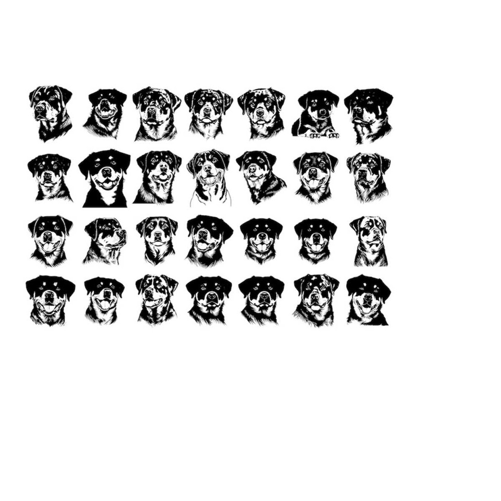 2610202382852-rottweiler-head-svg-rottweiler-head-clipart-rottweiler-svg-image-1.jpg