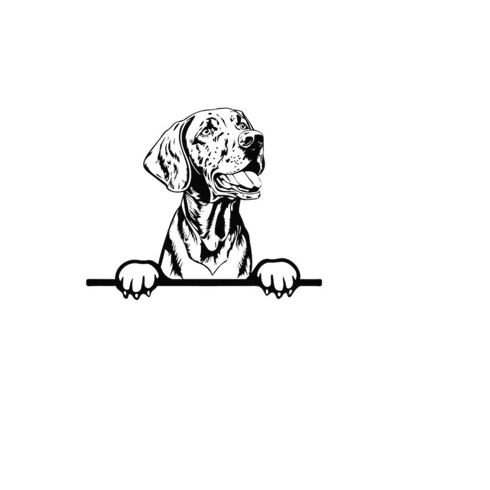 2610202382949-peeking-vizsla-svg-peeking-vizsla-clipart-peeking-vizsla-svg-image-1.jpg