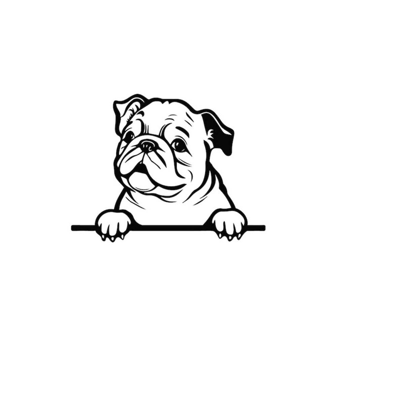 2610202383146-peeking-bulldog-svg-peeking-bulldog-clipart-peeking-bulldog-image-1.jpg