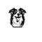 2610202383323-australian-shepherd-head-svg-australian-shepherd-head-image-1.jpg