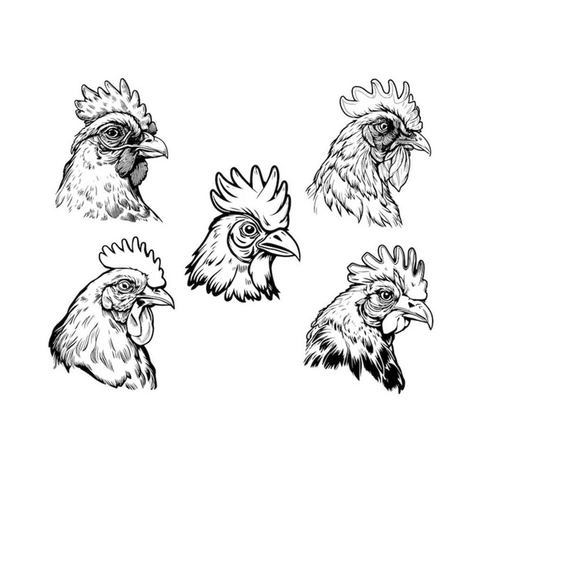 2610202383330-chicken-head-svg-chicken-clipart-chicken-head-svg-file-for-image-1.jpg