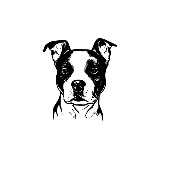 261020238349-amstaff-svg-amstaff-clipart-amstaff-svg-files-for-cricut-image-1.jpg