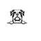 261020238399-peeking-bulldog-svg-peeking-bulldog-clipart-peeking-bulldog-image-1.jpg