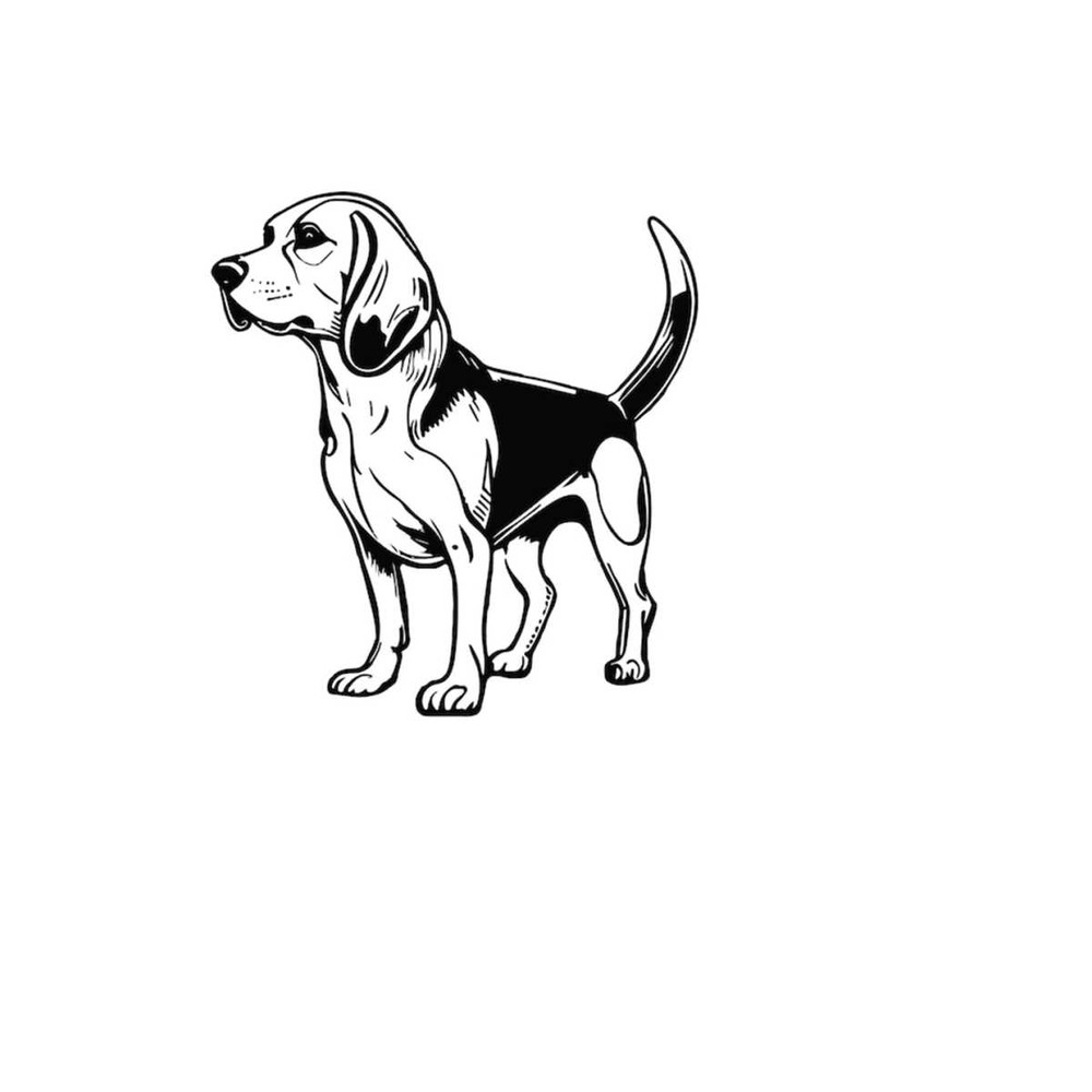 261020238453-beagle-svg-beagle-clipart-beagle-svg-files-for-cricut-image-1.jpg
