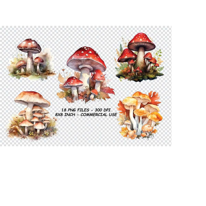 261020238456-watercolor-mushrooms-clipart-watercolor-mushrooms-png-for-image-1.jpg