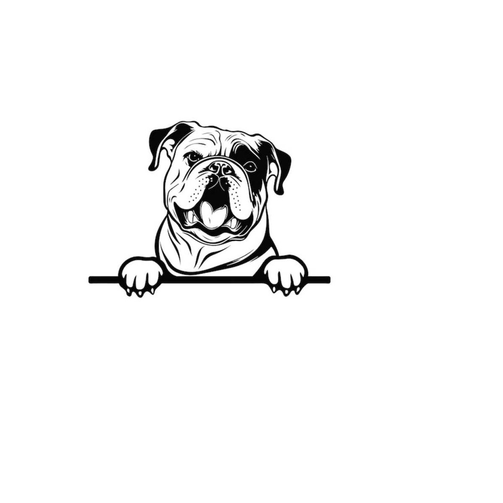 2610202384541-peeking-english-bulldog-svg-peeking-english-bulldog-clipart-image-1.jpg