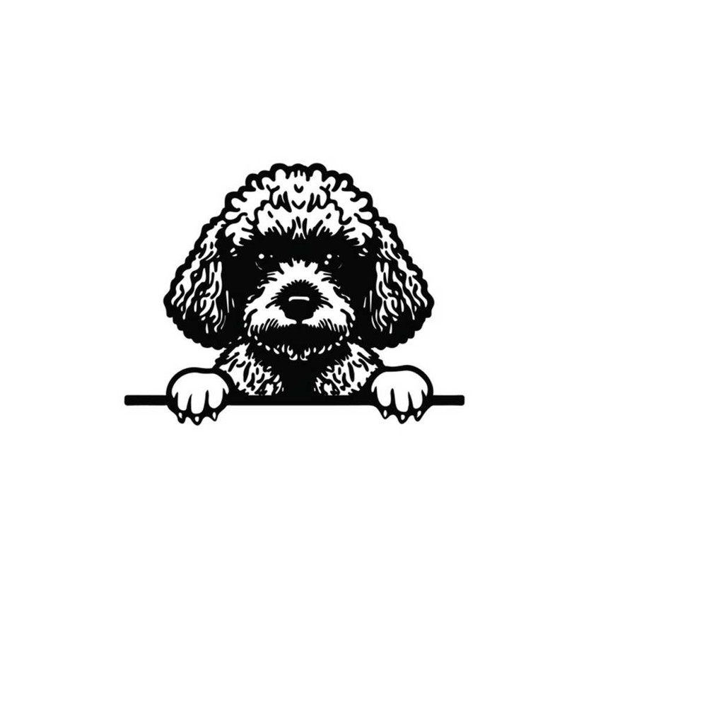 2610202384612-peeking-poodle-svg-peeking-poodle-clipart-peeking-poodle-svg-image-1.jpg