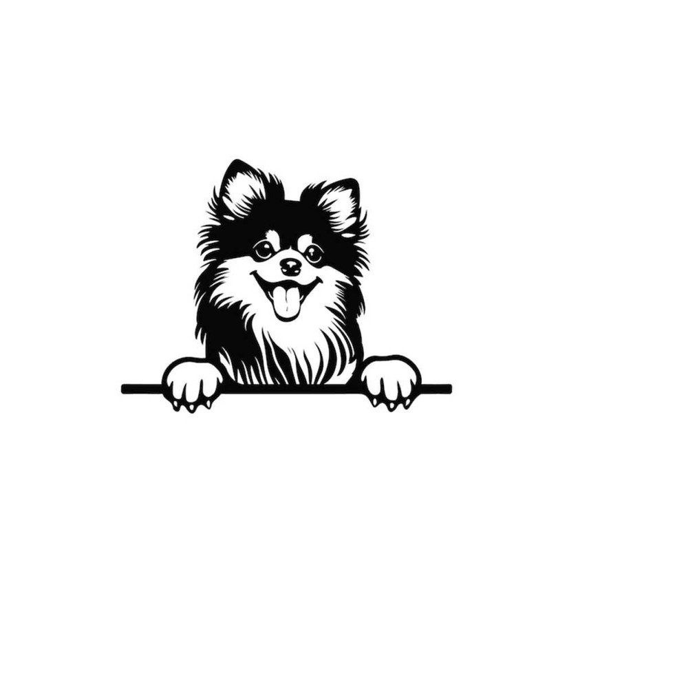 2610202384758-peeking-pomeranian-svg-peeking-pomeranian-clipart-peeking-image-1.jpg