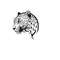 2610202384759-leopard-head-svg-leopard-clipart-leopard-head-svg-cut-file-image-1.jpg