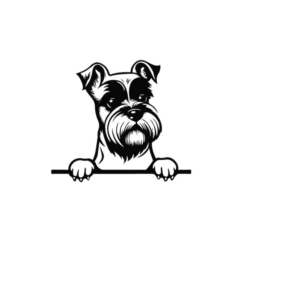 261020238486-peeking-miniature-schnauzer-svg-peeking-miniature-schnauzer-image-1.jpg