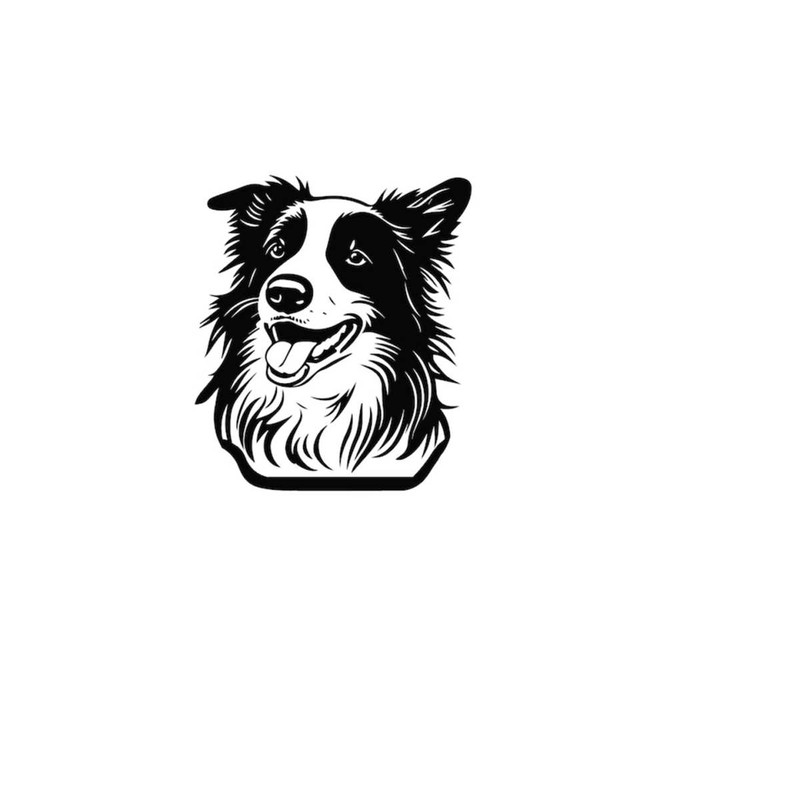 2610202384840-border-collie-head-svg-border-collie-head-clipart-border-image-1.jpg