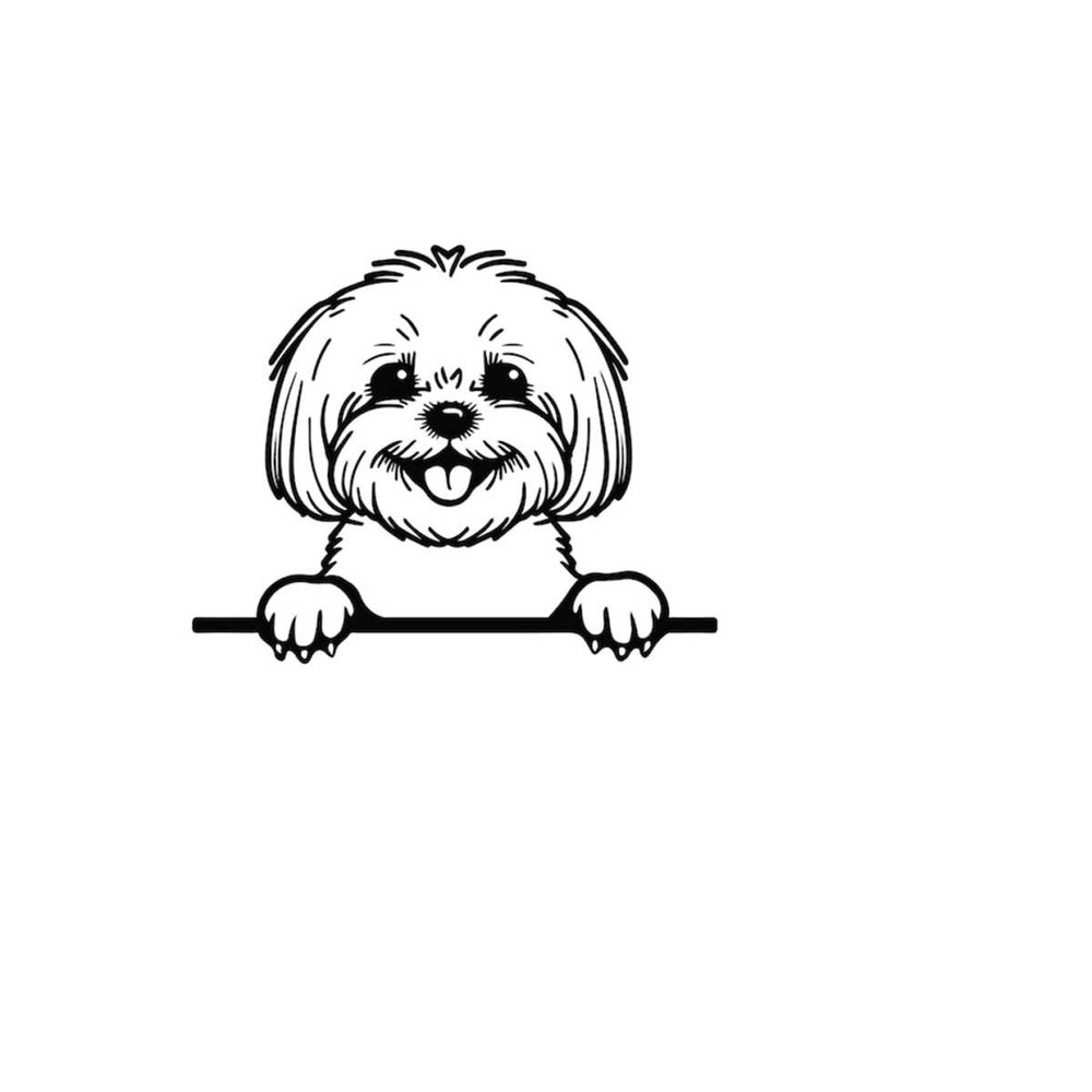 2610202384855-peeking-bichon-svg-peeking-bichon-clipart-peeking-bichon-svg-image-1.jpg