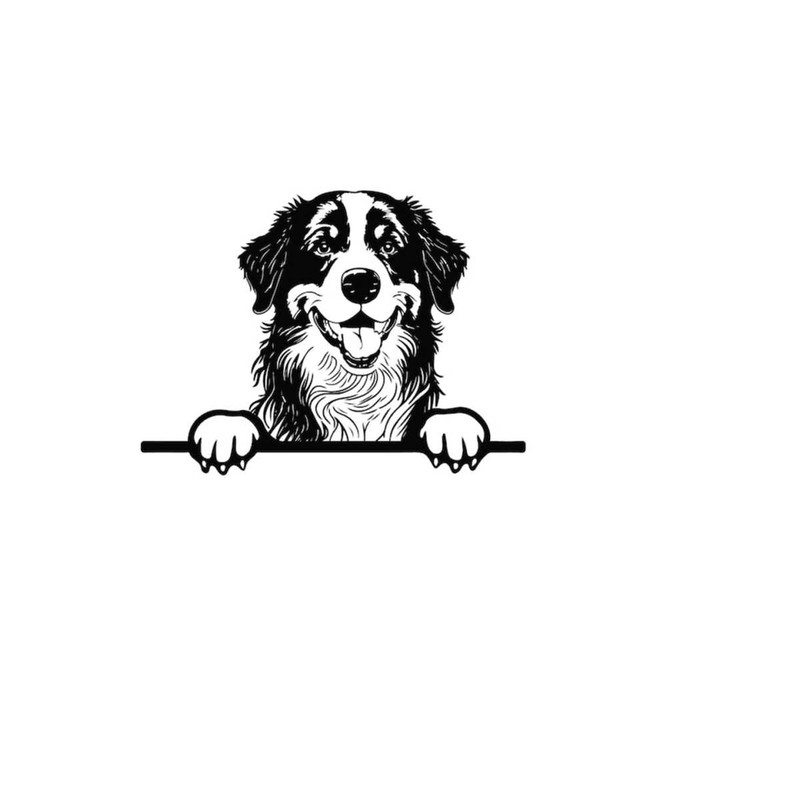 2610202384933-peeking-bernese-mountain-svg-peeking-bernese-mountain-image-1.jpg