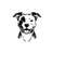 2610202384936-pitbull-svg-pitbull-clipart-pitbull-svg-files-for-cricut-image-1.jpg