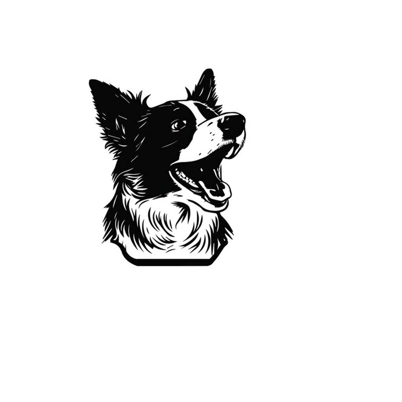 2610202385035-border-collie-head-svg-border-collie-head-clipart-border-image-1.jpg