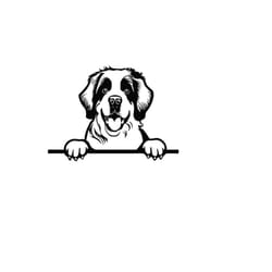 peeking saint bernard svg, peeking saint bernard clipart, peeking saint bernard svg files for cricut