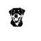 261020238537-rottweiler-head-svg-rottweiler-head-clipart-rottweiler-head-image-1.jpg