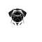 2610202385555-pug-svg-pug-clipart-pug-svg-files-for-cricut-pug-silhouette-image-1.jpg