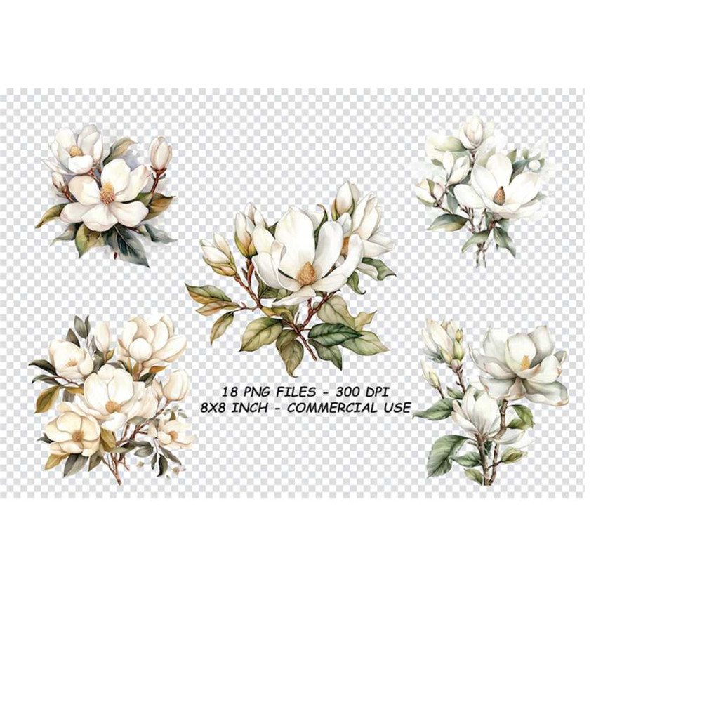 2610202385615-magnolia-flower-watercolor-clipart-magnolia-flower-watercolor-image-1.jpg