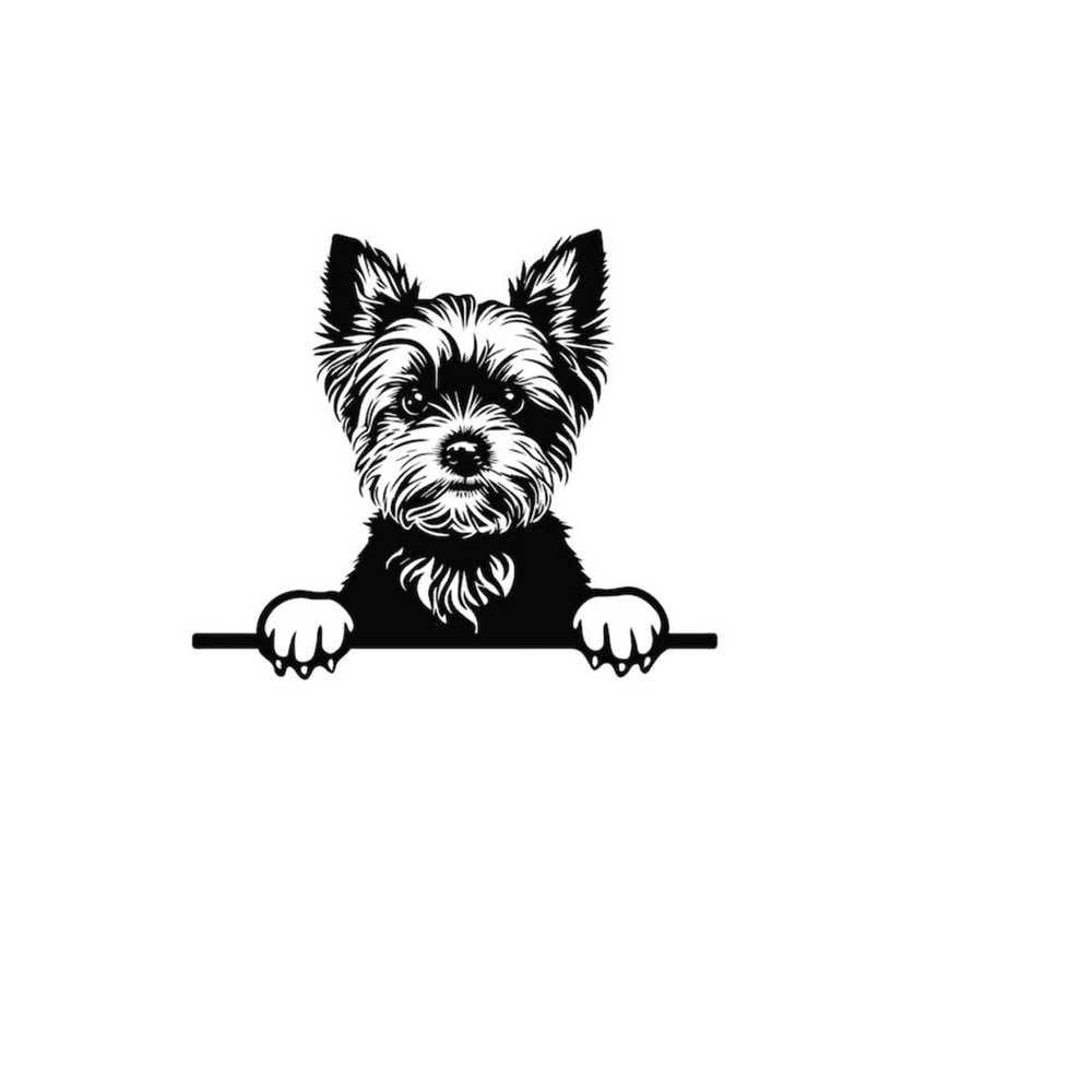 261020238587-peeking-yorkshire-terrier-svg-peeking-yorkshire-terrier-svg-image-1.jpg