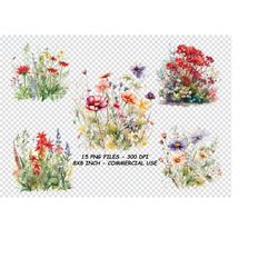 watercolor meadow flowers clipart, meadow flowers png, spring wildflower floral for commercial use transparent background