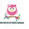 2610202395031-owl-on-a-branch-svg-png-jpg-dxf-owl-svg-digital-download-image-1.jpg
