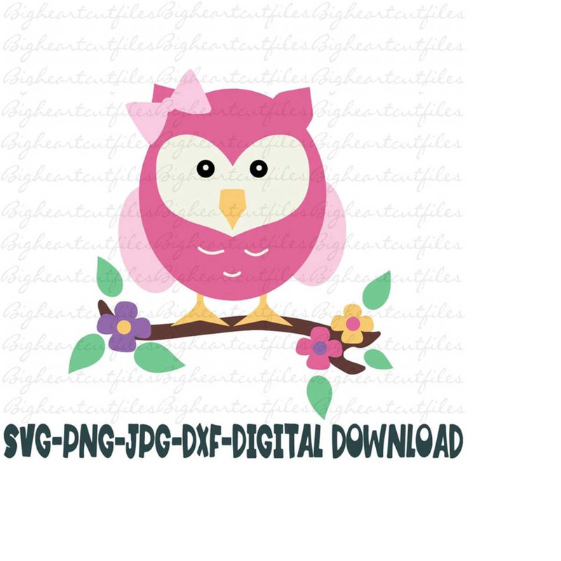 2610202395031-owl-on-a-branch-svg-png-jpg-dxf-owl-svg-digital-download-image-1.jpg