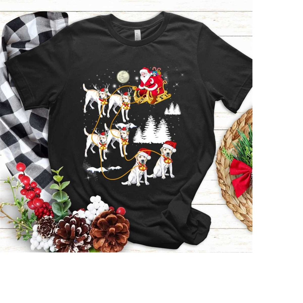 MR-2610202310276-cute-christmas-labrador-retriever-t-shirt-labrador-dog-shirt-image-1.jpg