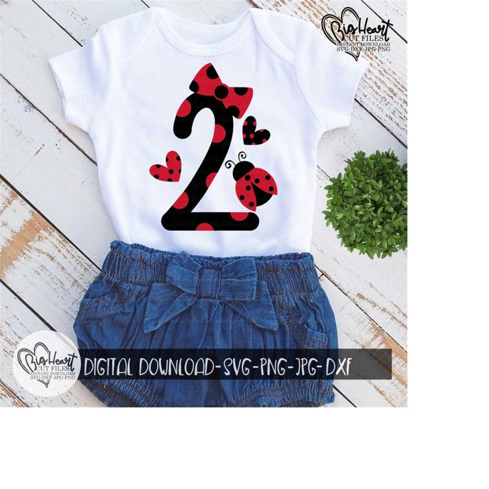 26102023103749-ladybug-2nd-birthday-svg-png-jpg-dxf-second-birthday-svg-image-1.jpg