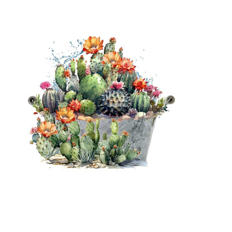 2610202311857-cactus-succulents-clipart-desert-digital-download-image-1.jpg