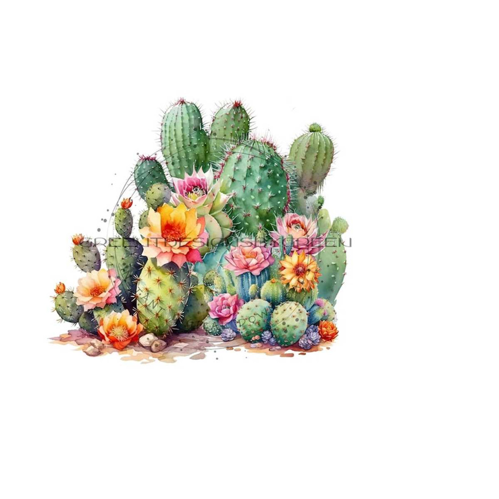 2610202311954-cactus-succulents-clipart-desert-digital-download-image-1.jpg