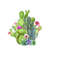 2610202311955-flowering-desert-cacti-scene-sublimation-png-saguaro-image-1.jpg