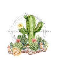 Flowering Cacti Sublimation PNG - Desert Landscape Clipart - Digital Download