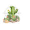2610202311107-flowering-cacti-sublimation-png-desert-landscape-clipart-image-1.jpg