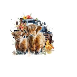 long haired cow png, highland cow png, mama cow & baby calf clipart, vintage truck png, western clipart, wildflower sublimation.