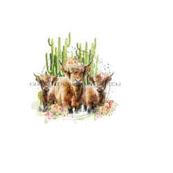 long haired cow png, highland cow png, mama cow and baby calf sublimation, cactus png, western clipart, wildflower sublimation.