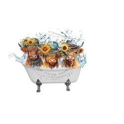 long haired cow png, highland cow png, cows in bathtub sublimation, vintage bathtub png, western clipart, calf sublimation