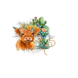 long haired cow png, highland cow png, cow and teacup sublimation, vintage cactus png, western clipart, calf sublimation