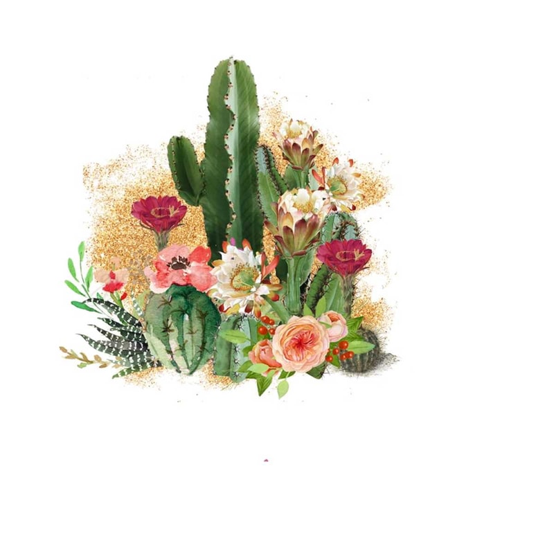 26102023112257-desert-cactus-sublimation-png-floral-explosion-rustic-image-1.jpg