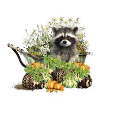 racoon png image surrounded by orange, green & leopard print pumpkins, wheelbarrow showcases fall vines and wildflowers. digital download