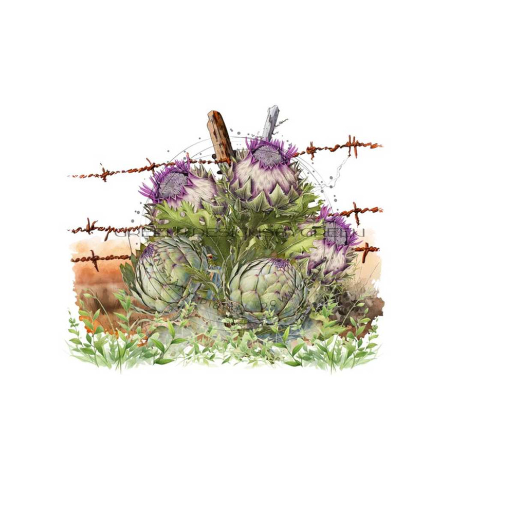26102023112655-artichokes-rustic-barbed-wire-fence-clipart-farm-and-image-1.jpg