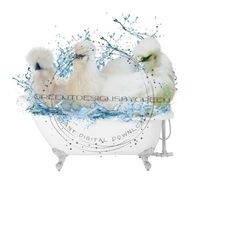 bathtub png, chicken in bathtub, silkies chicken, white chicken for sublimation, bathroom clipart, bathroom png, farm chicken sublimation.