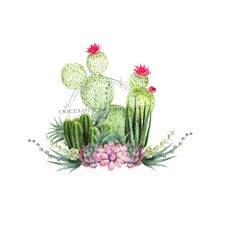 rustic cactus png, desert cactus png waterslide, western sublimation, background cactus png, waterslide, desert clipart, sublimation image.