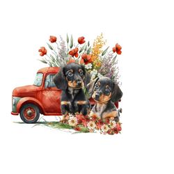 puppy dog png file, western dog sublimation, vintage cowboy boots png, puppy clipart, wildflower sublimation png.