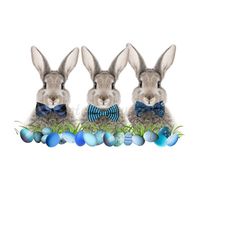three bunny rabbits png with blue bow ties and easter waterslide, bunny sublimation, rabbit png, easter clipart png, sublimation, waterslide